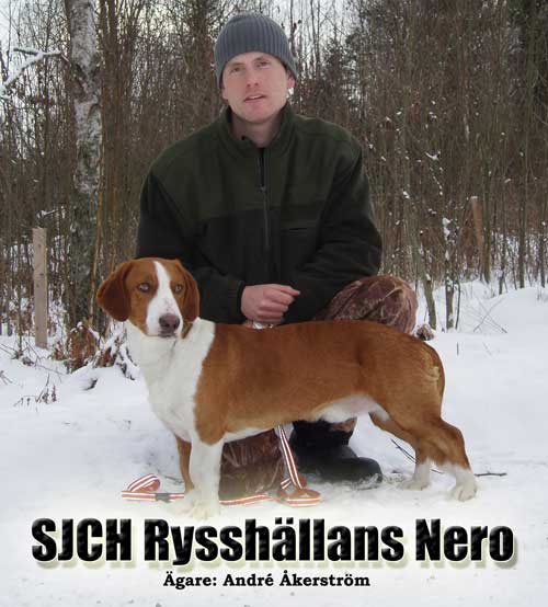 SJCH-Rysshällans-Nero